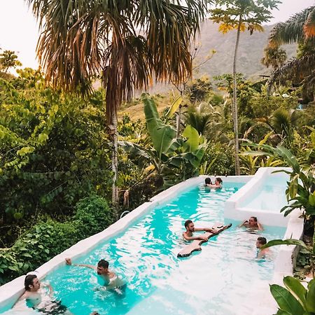 The Valley Tayrona Hostel- A Social Jungle Hostel Ел Заино Екстериор снимка