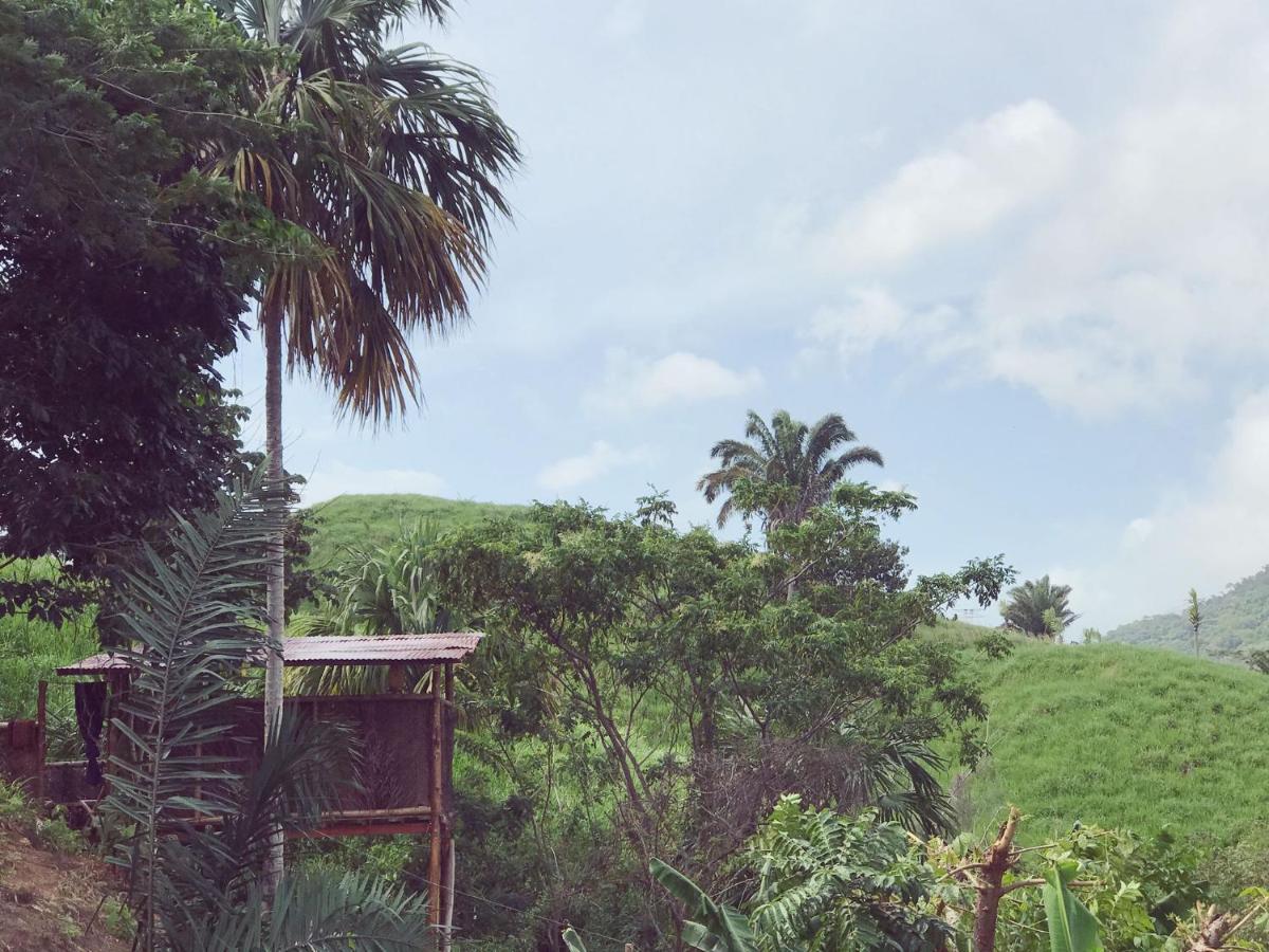 The Valley Tayrona Hostel- A Social Jungle Hostel Ел Заино Екстериор снимка