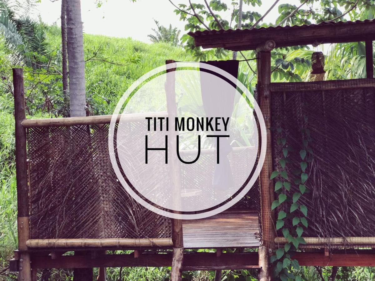 The Valley Tayrona Hostel- A Social Jungle Hostel Ел Заино Екстериор снимка