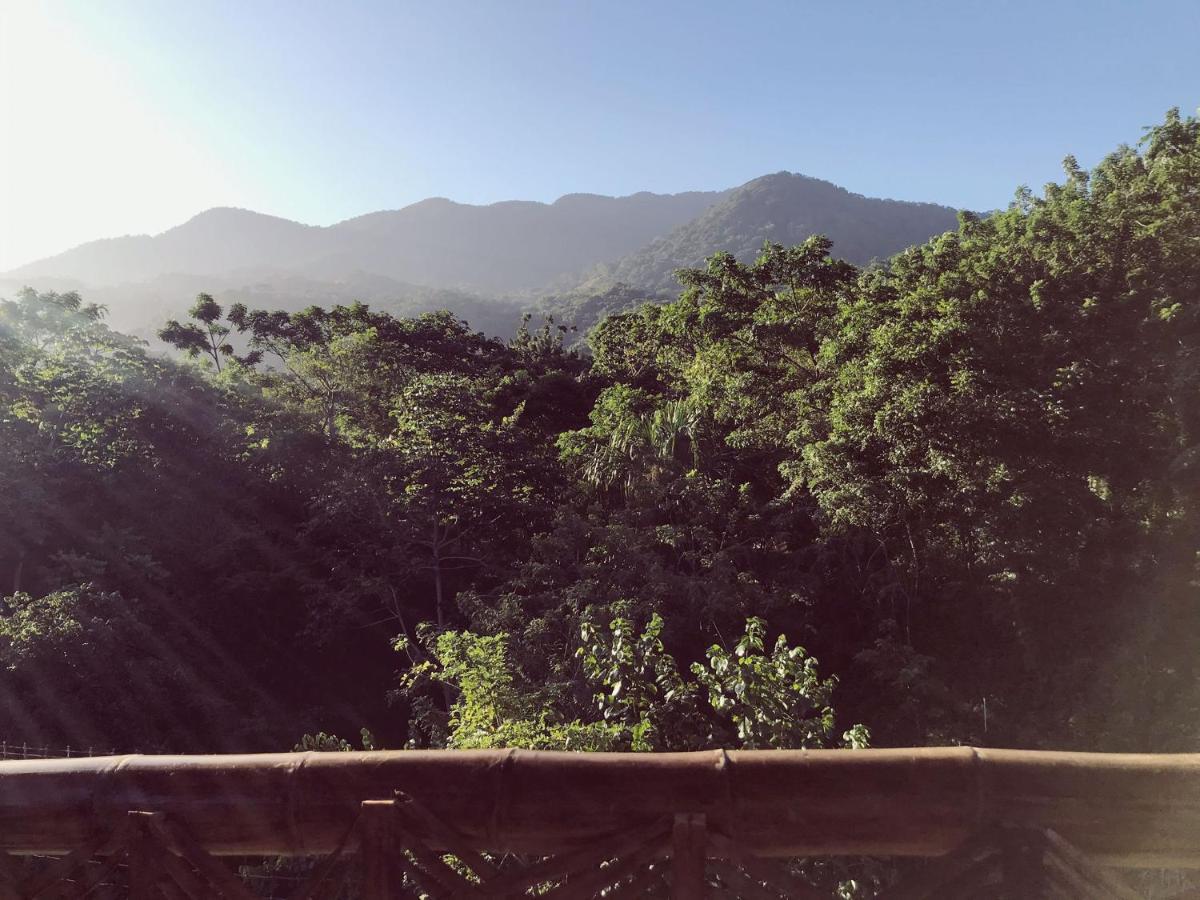 The Valley Tayrona Hostel- A Social Jungle Hostel Ел Заино Екстериор снимка