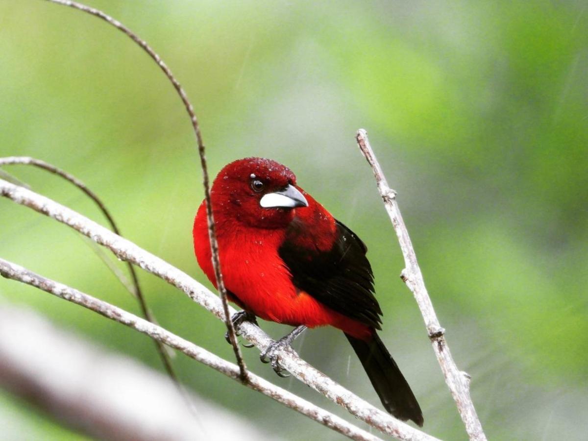 The Valley Tayrona Hostel- A Social Jungle Hostel Ел Заино Екстериор снимка