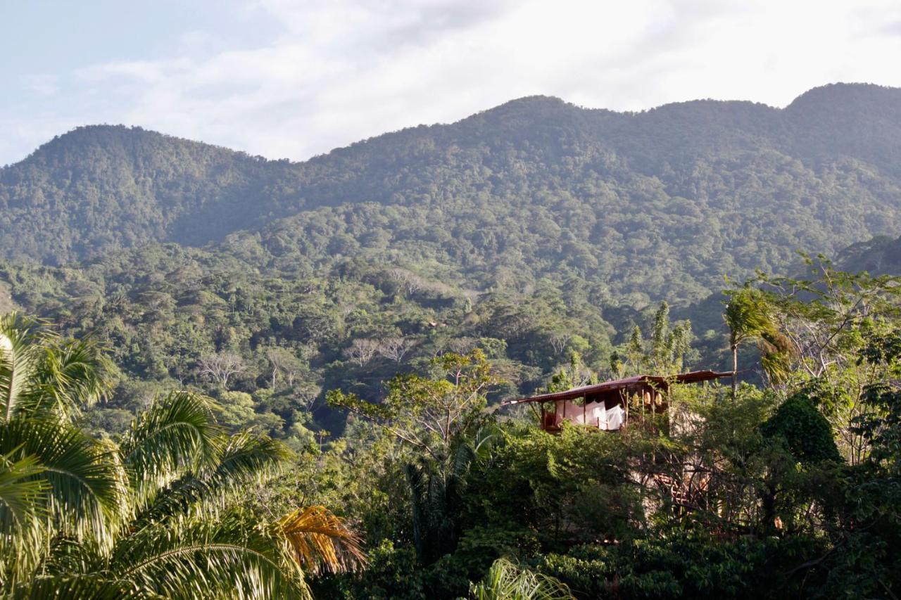 The Valley Tayrona Hostel- A Social Jungle Hostel Ел Заино Екстериор снимка