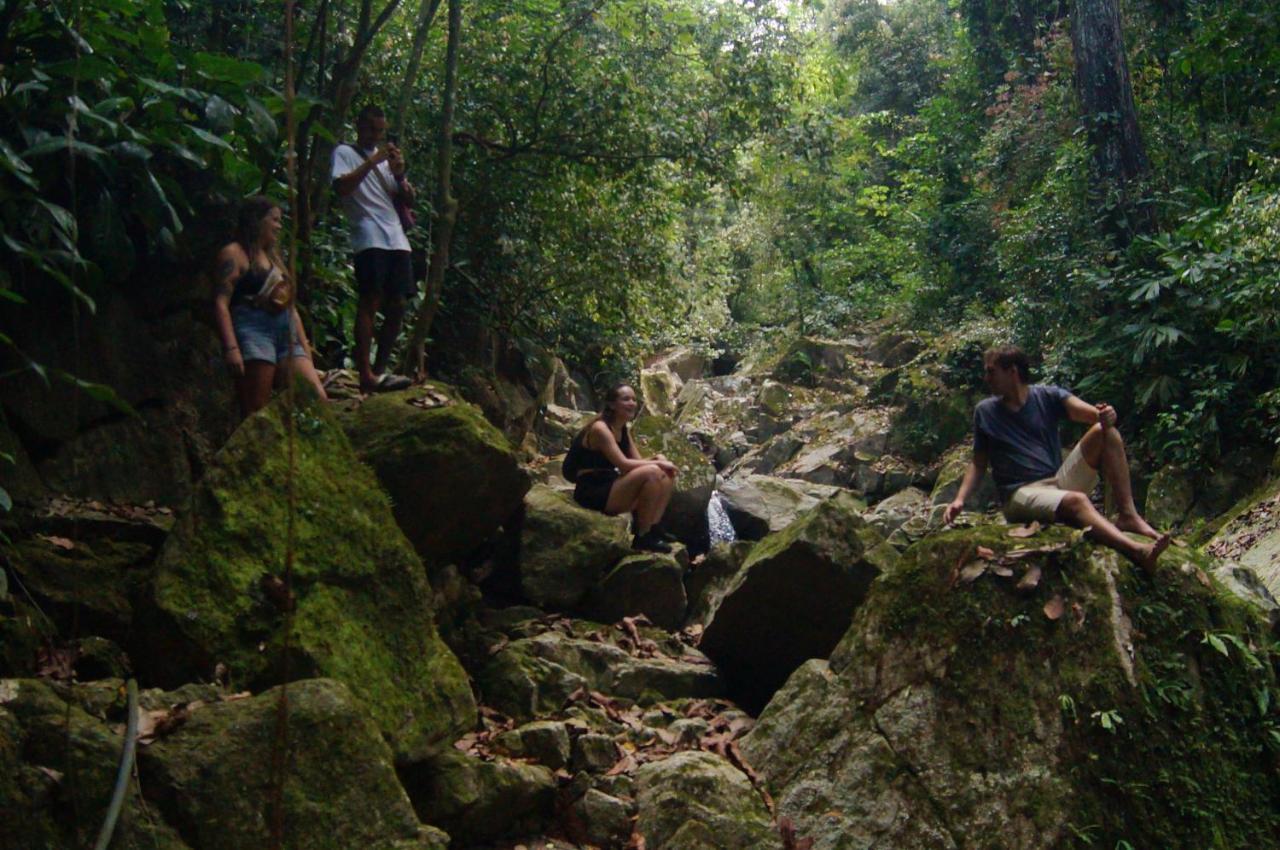 The Valley Tayrona Hostel- A Social Jungle Hostel Ел Заино Екстериор снимка