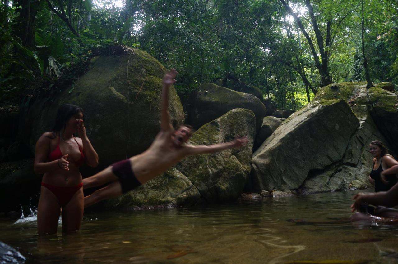 The Valley Tayrona Hostel- A Social Jungle Hostel Ел Заино Екстериор снимка