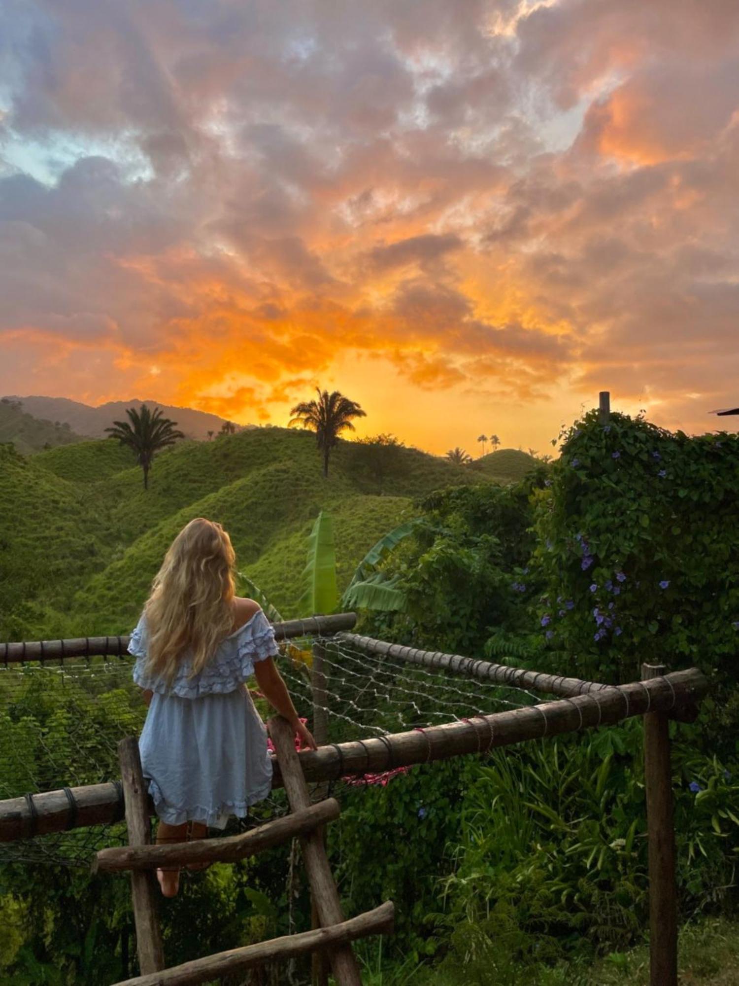 The Valley Tayrona Hostel- A Social Jungle Hostel Ел Заино Екстериор снимка