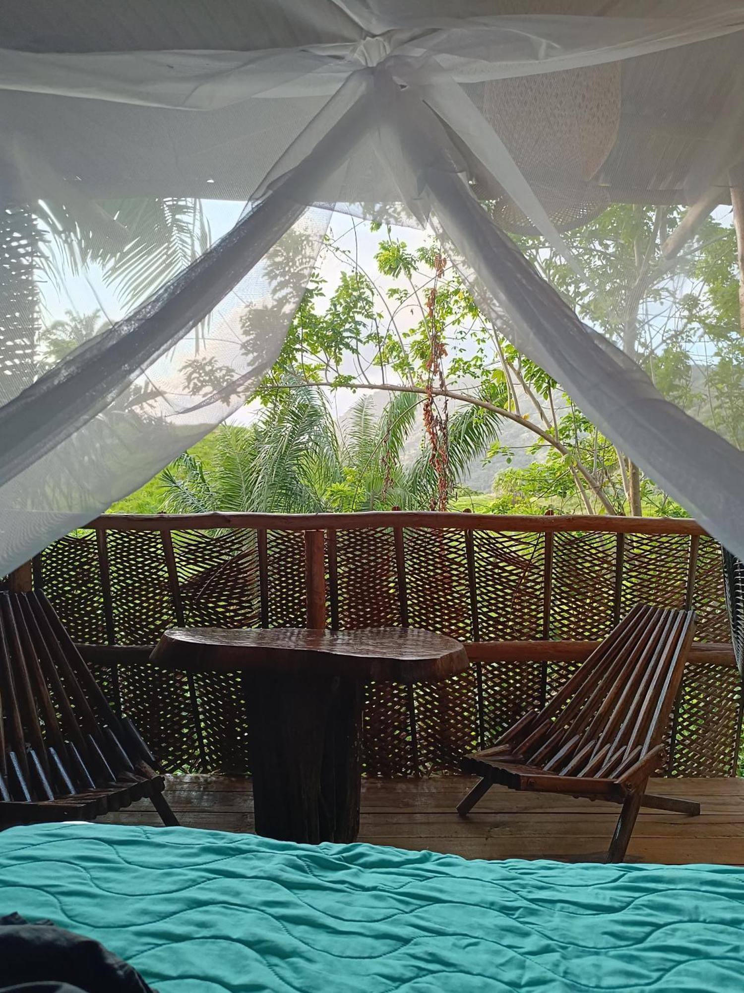 The Valley Tayrona Hostel- A Social Jungle Hostel Ел Заино Екстериор снимка
