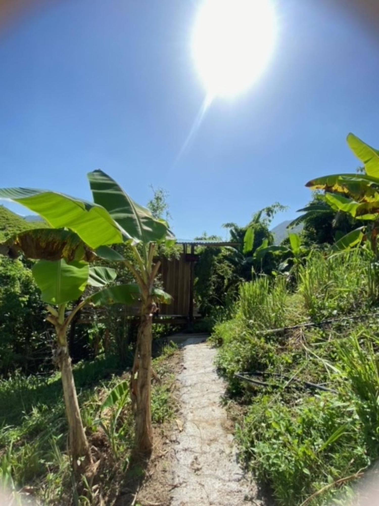 The Valley Tayrona Hostel- A Social Jungle Hostel Ел Заино Екстериор снимка
