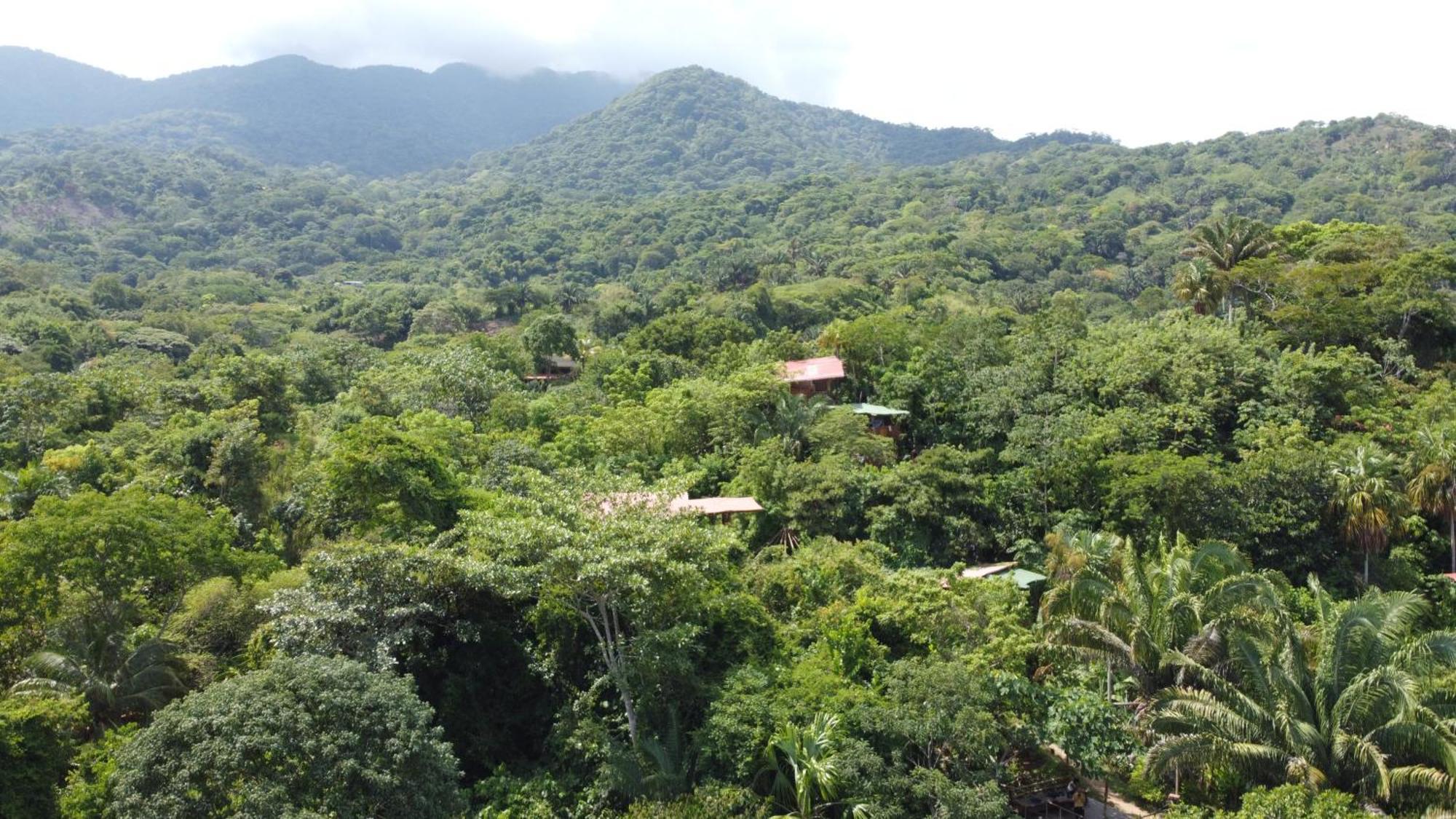 The Valley Tayrona Hostel- A Social Jungle Hostel Ел Заино Екстериор снимка