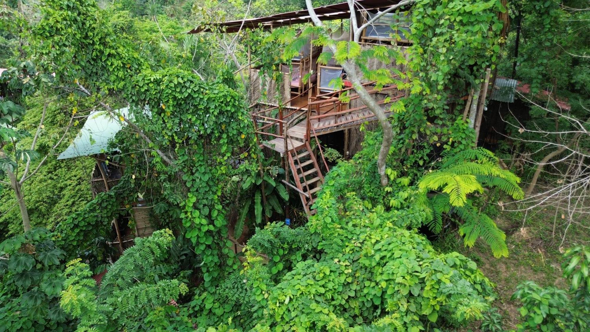 The Valley Tayrona Hostel- A Social Jungle Hostel Ел Заино Екстериор снимка