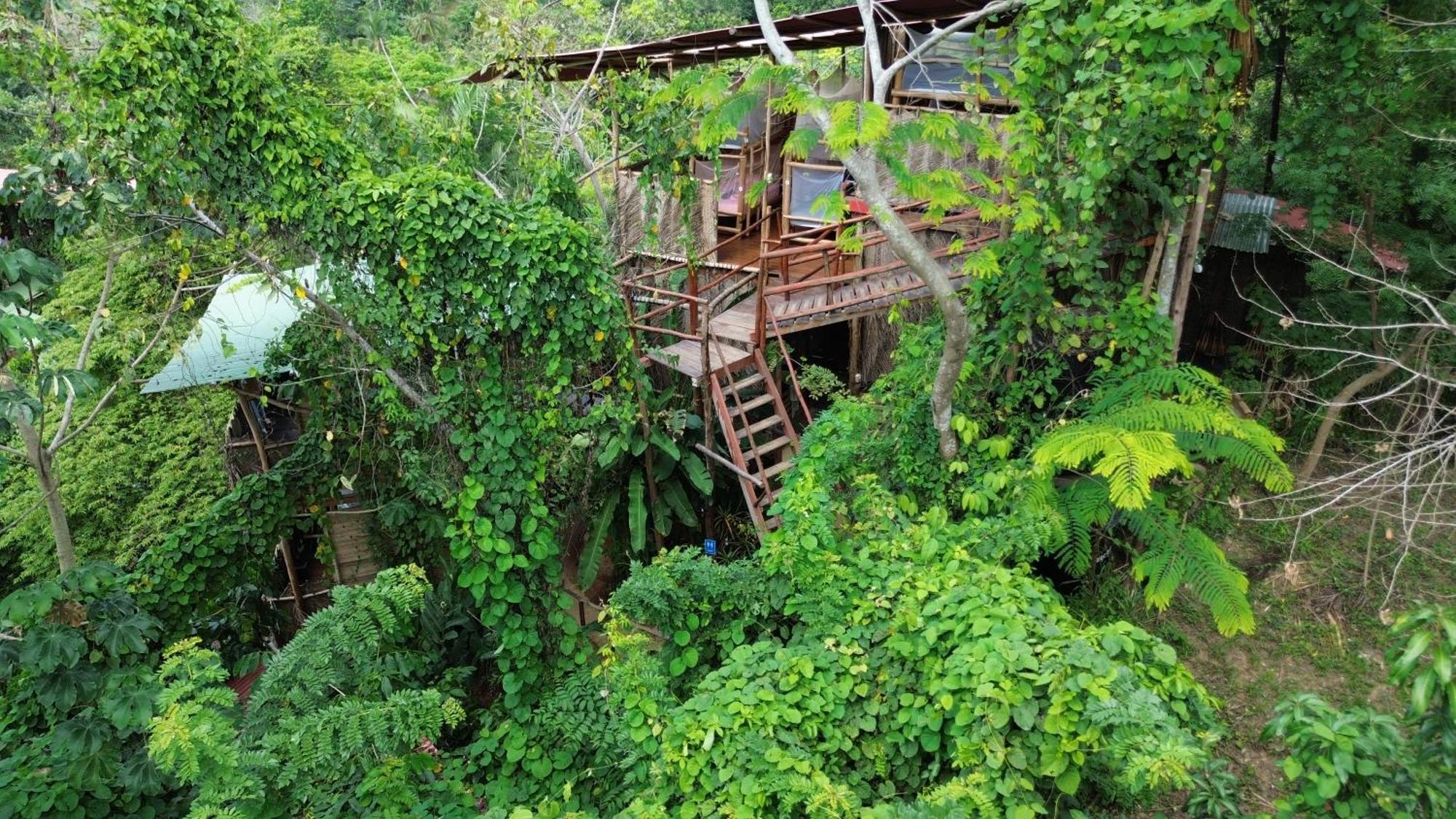 The Valley Tayrona Hostel- A Unique Social Jungle Hostel Ел Заино Екстериор снимка