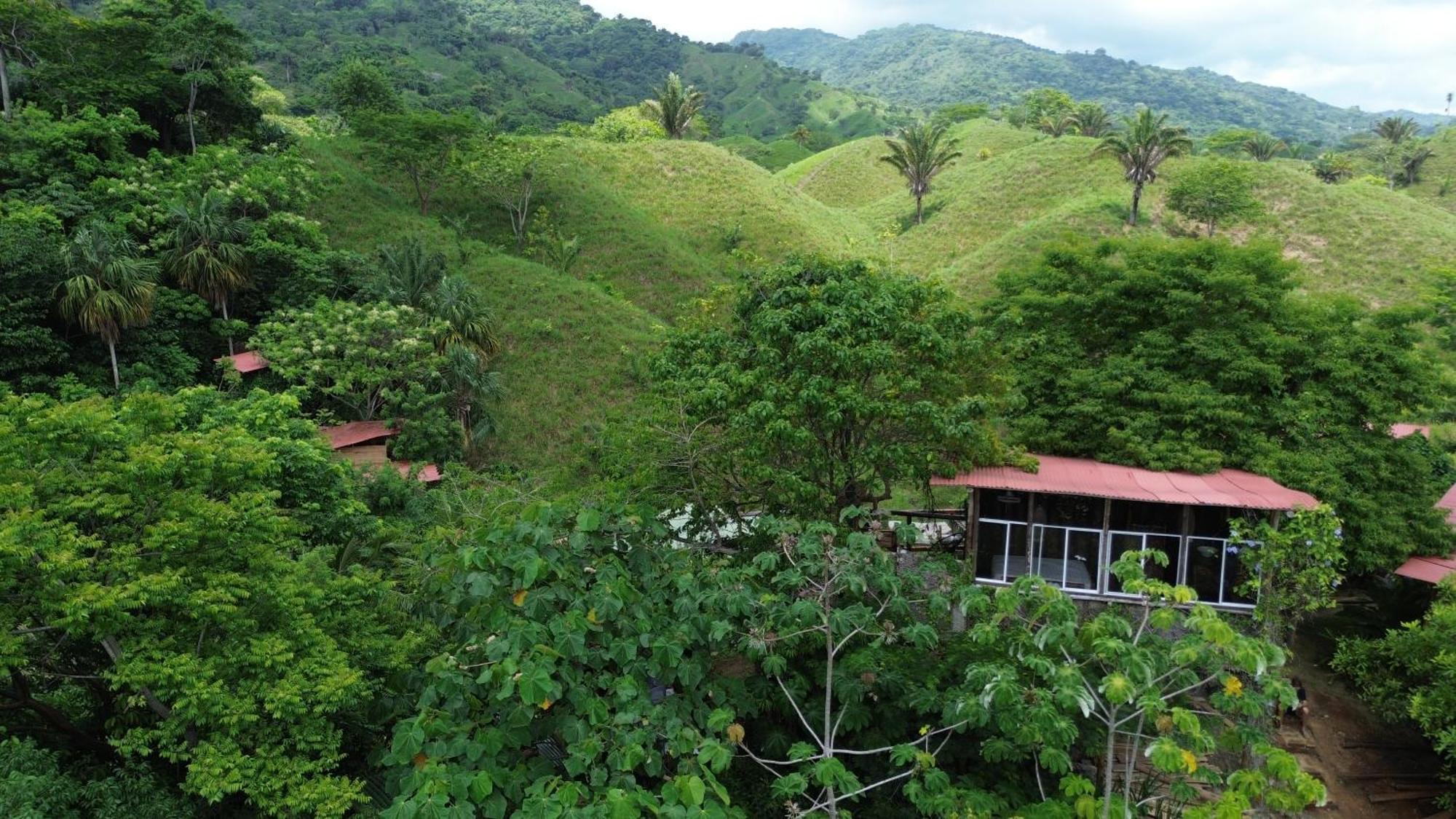 The Valley Tayrona Hostel- A Social Jungle Hostel Ел Заино Екстериор снимка