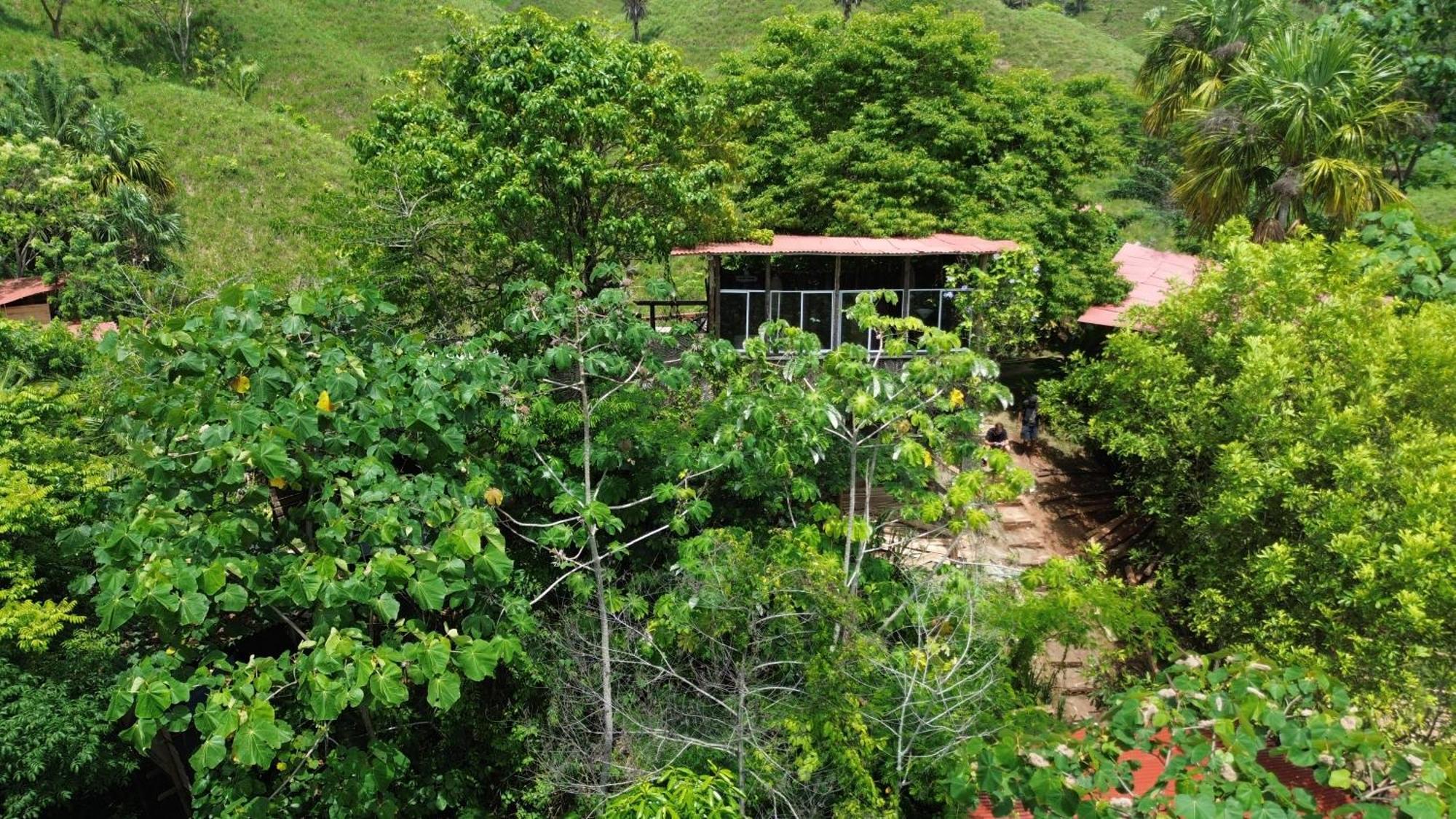 The Valley Tayrona Hostel- A Social Jungle Hostel Ел Заино Екстериор снимка