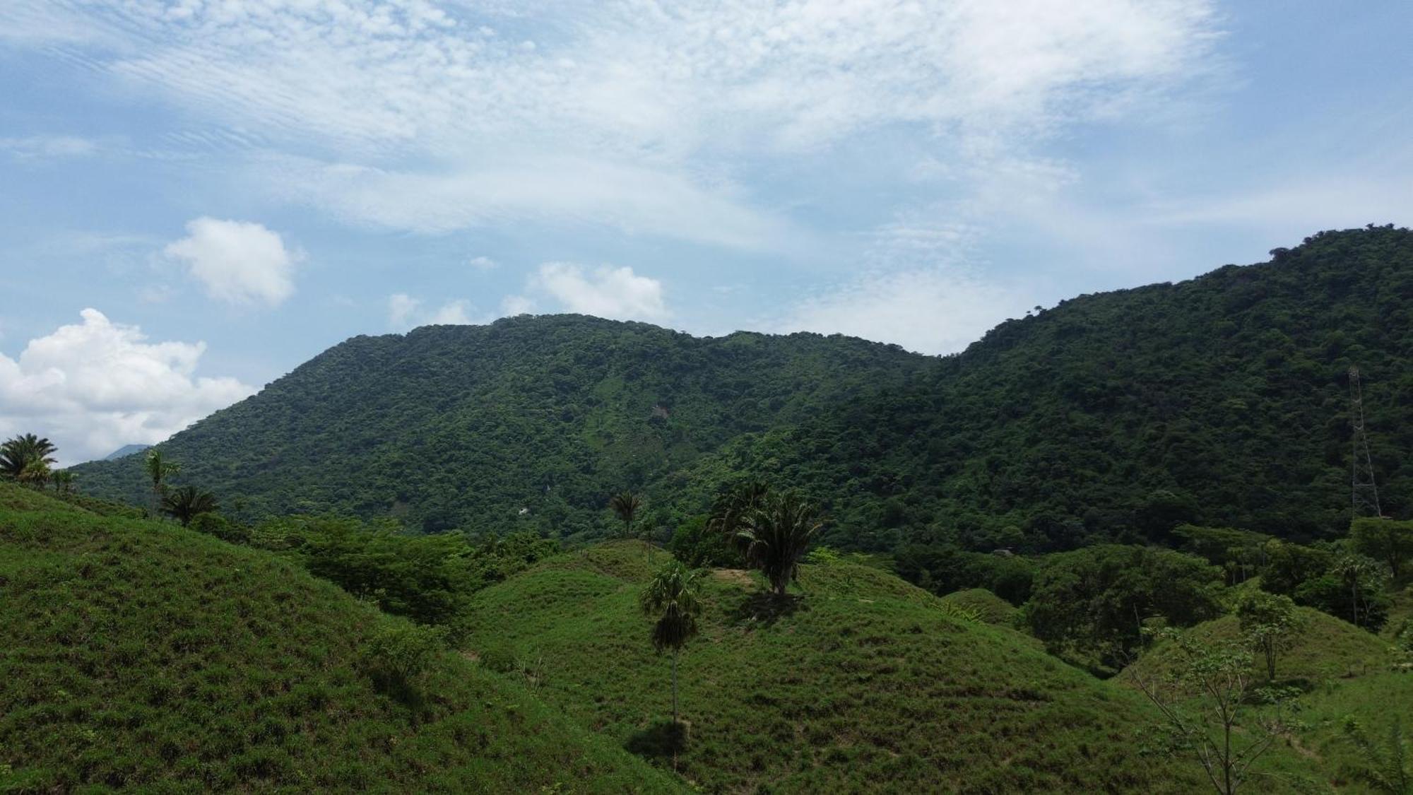 The Valley Tayrona Hostel- A Social Jungle Hostel Ел Заино Екстериор снимка