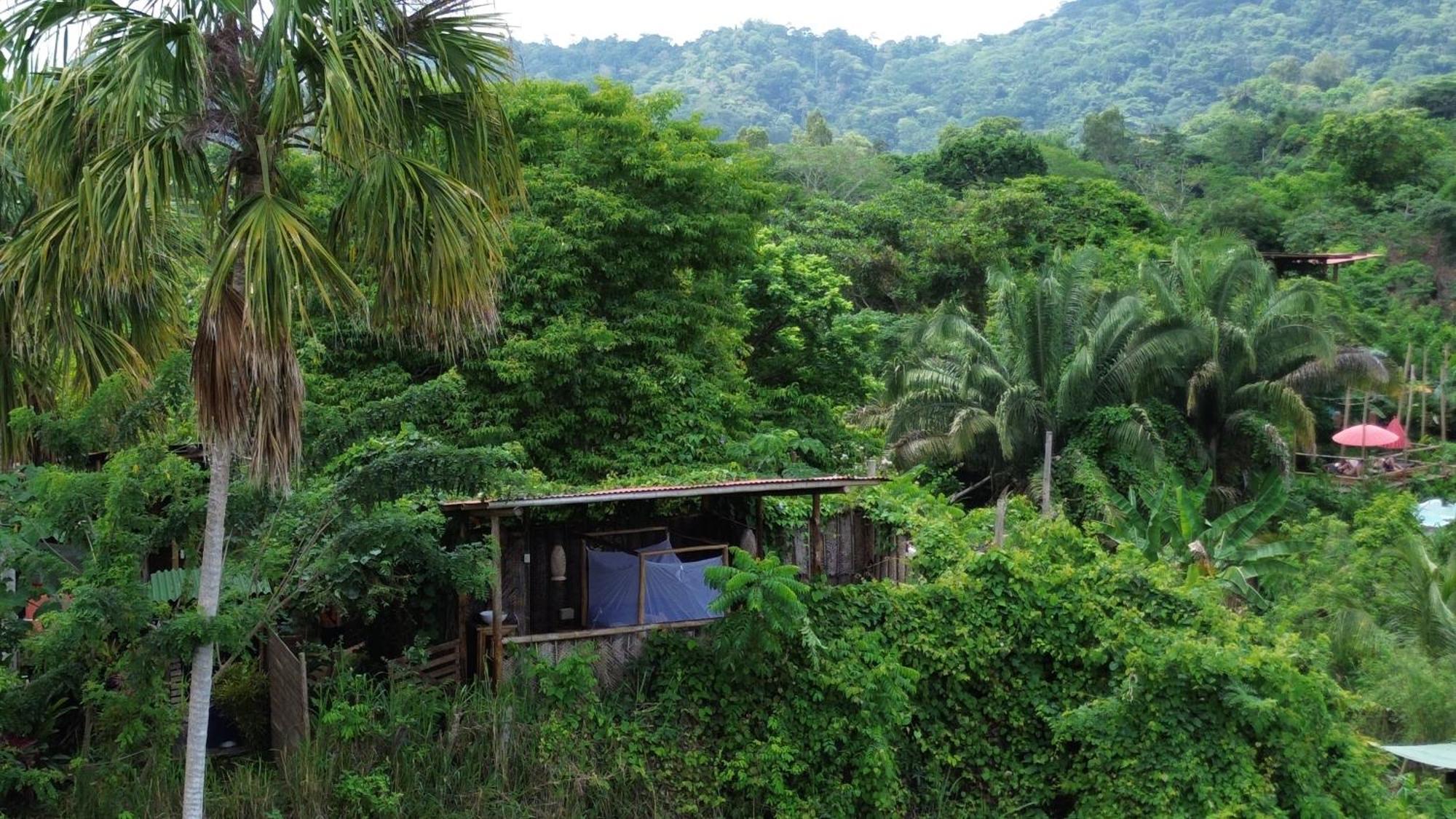 The Valley Tayrona Hostel- A Social Jungle Hostel Ел Заино Екстериор снимка