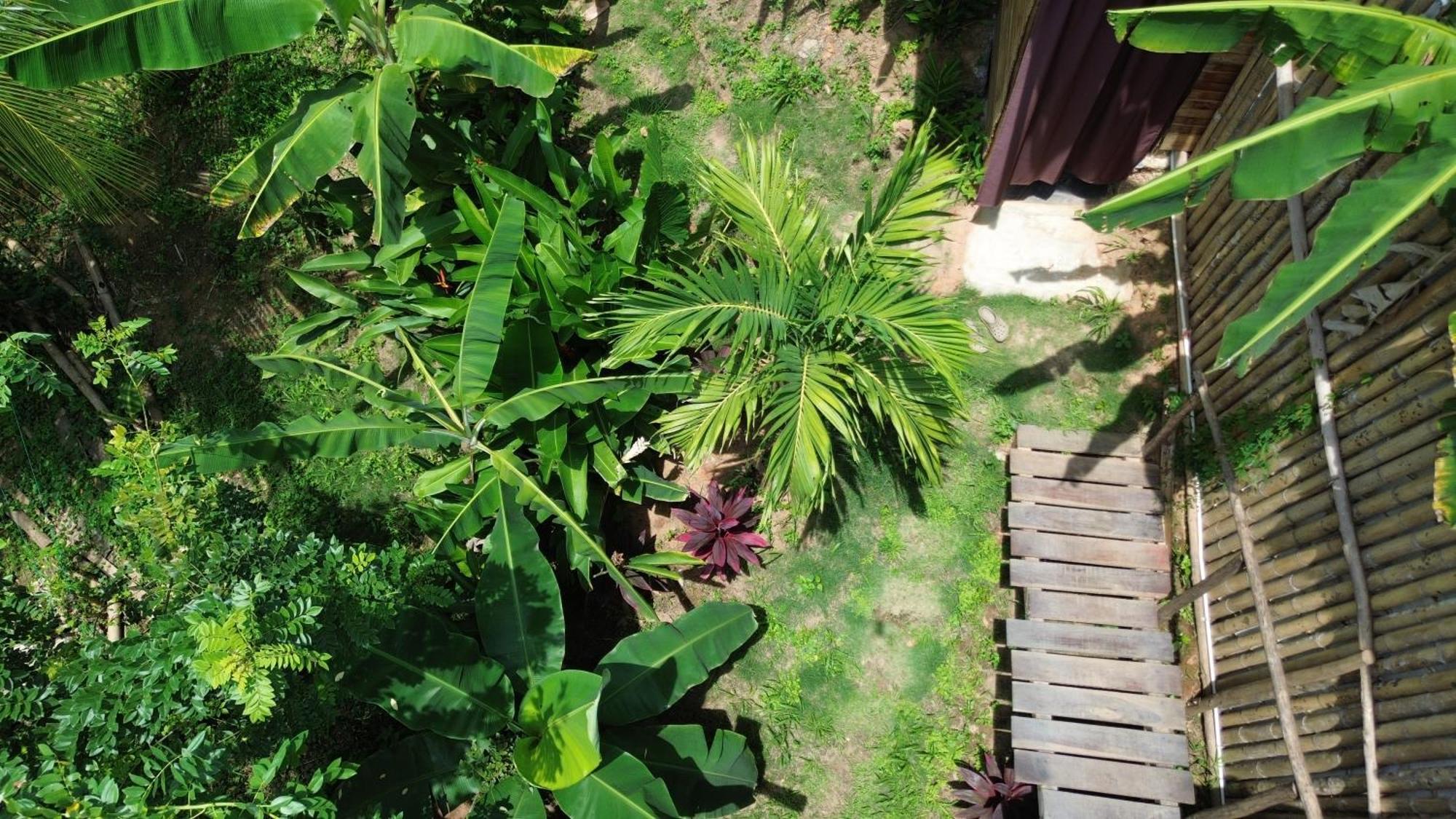 The Valley Tayrona Hostel- A Social Jungle Hostel Ел Заино Екстериор снимка
