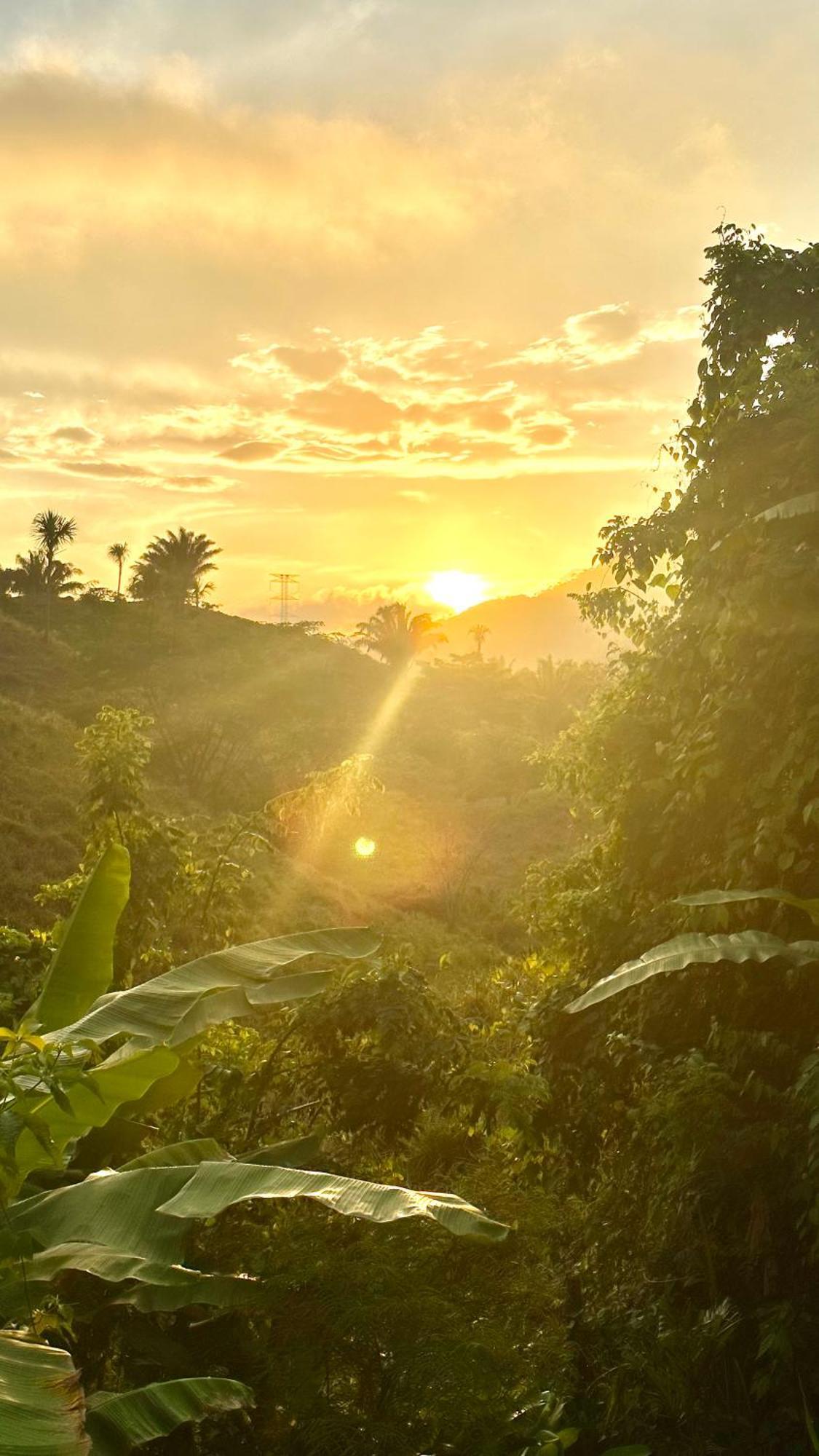 The Valley Tayrona Hostel- A Social Jungle Hostel Ел Заино Екстериор снимка