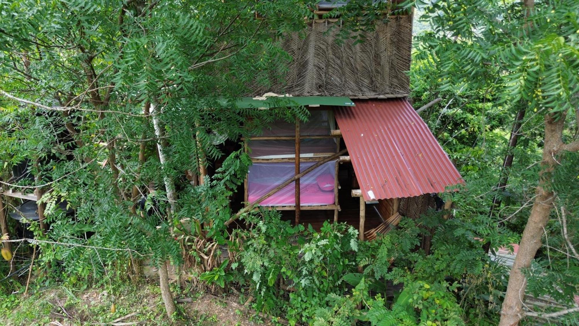 The Valley Tayrona Hostel- A Social Jungle Hostel Ел Заино Екстериор снимка