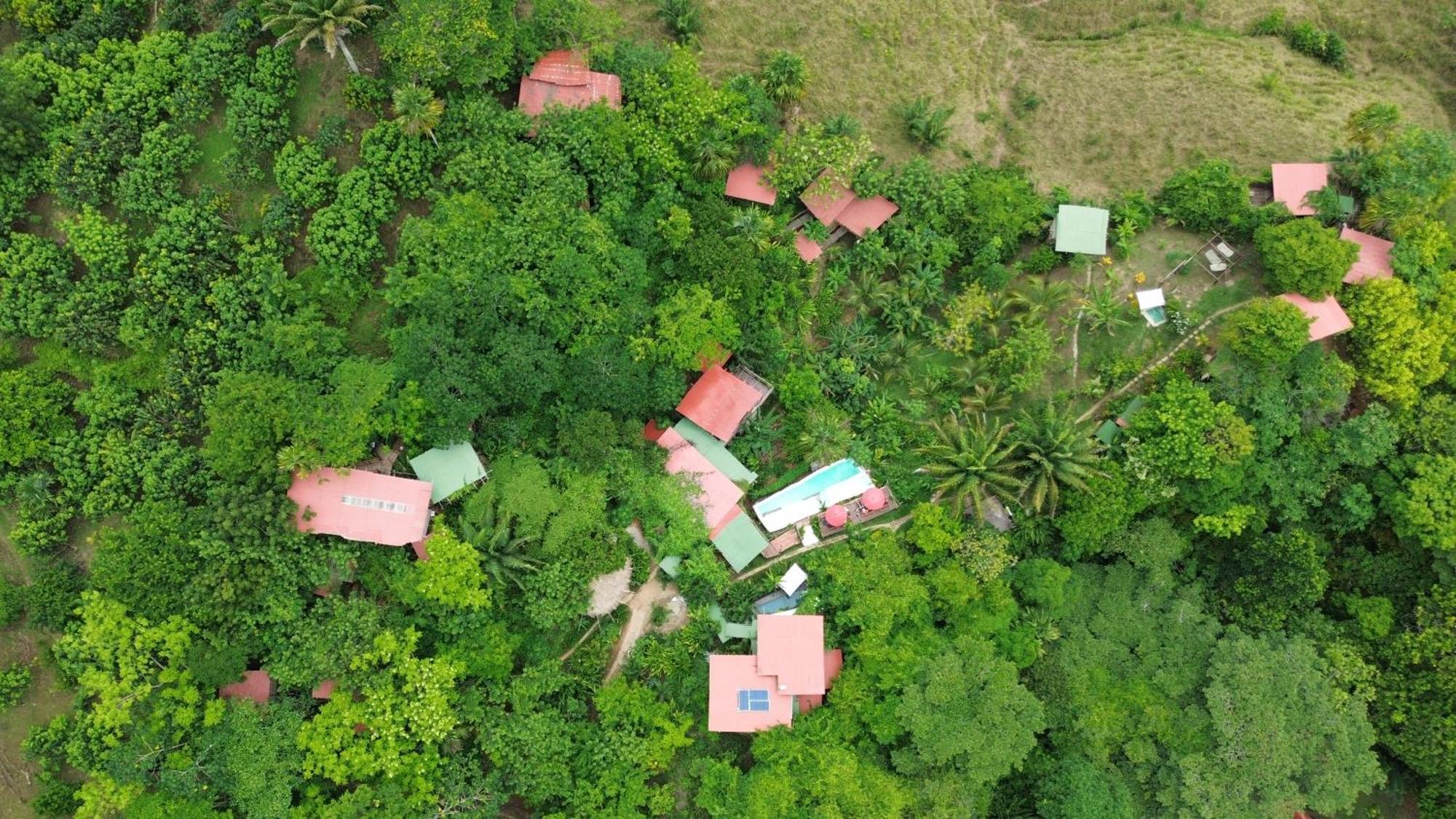 The Valley Tayrona Hostel- A Social Jungle Hostel Ел Заино Екстериор снимка