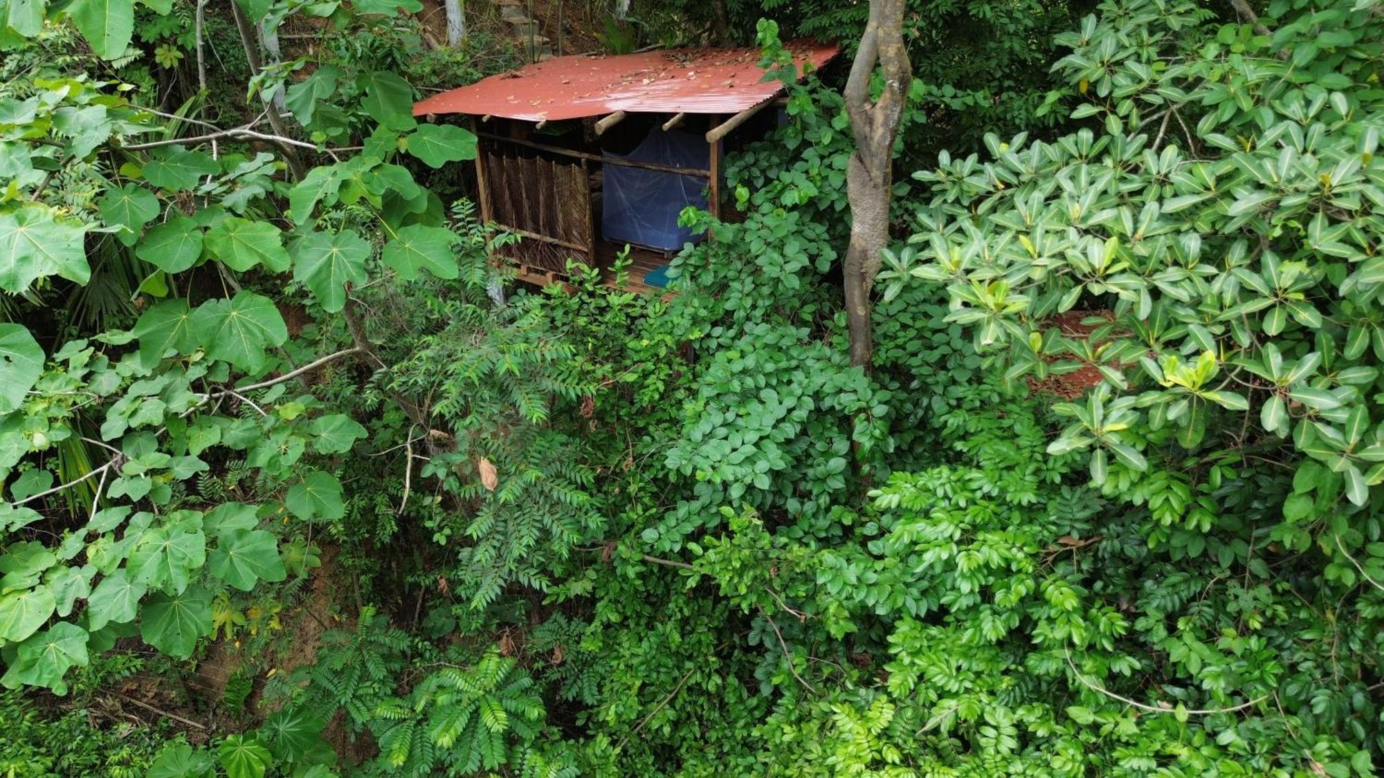 The Valley Tayrona Hostel- A Social Jungle Hostel Ел Заино Екстериор снимка