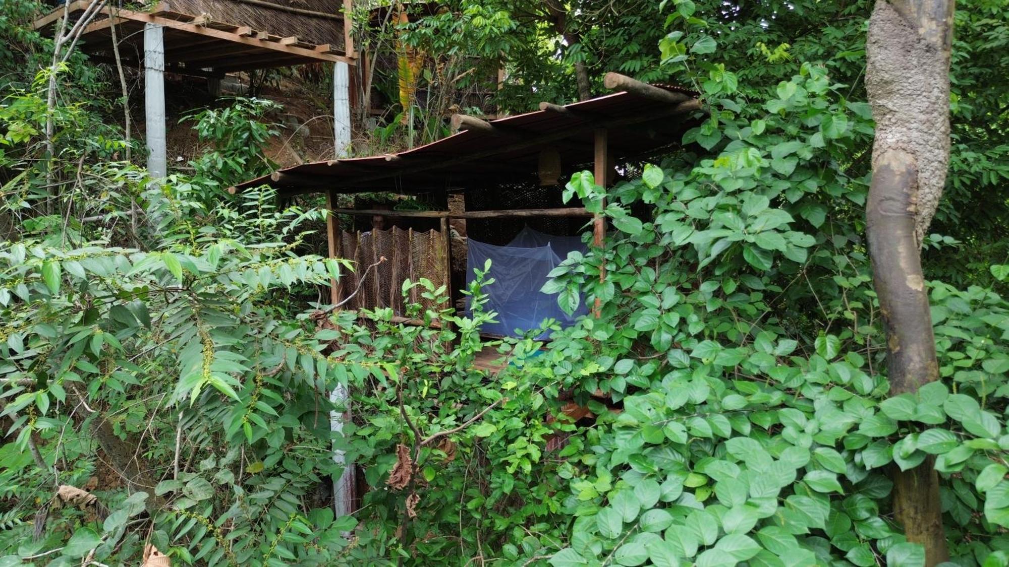 The Valley Tayrona Hostel- A Social Jungle Hostel Ел Заино Екстериор снимка