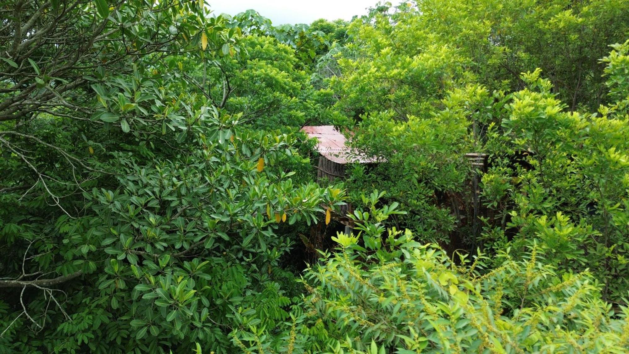 The Valley Tayrona Hostel- A Social Jungle Hostel Ел Заино Екстериор снимка